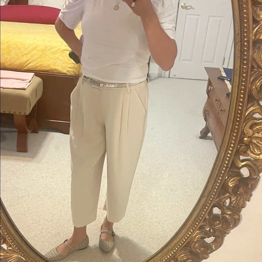 Express Cream Pleated Cropped Chinos